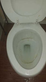 Before Toilet Cleaning by 1st Choice Cleaning Service in Rancho Cucamonga, CA